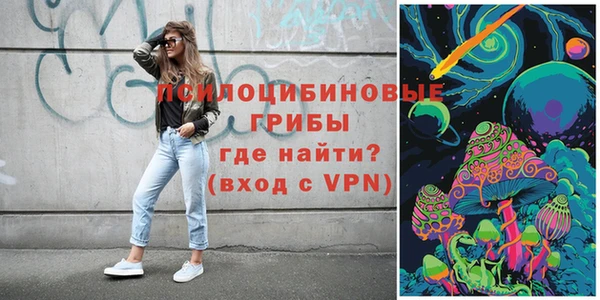 шишки Каменск-Шахтинский