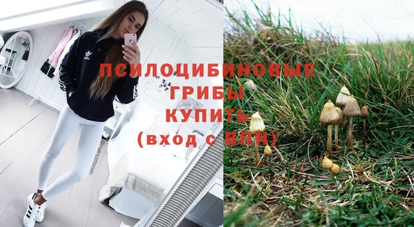 MDMA Каменка