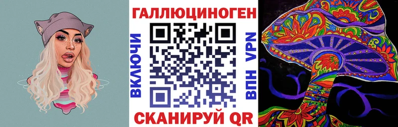 Купить где  Алдан  Псилоцибиновые грибы мицелий 